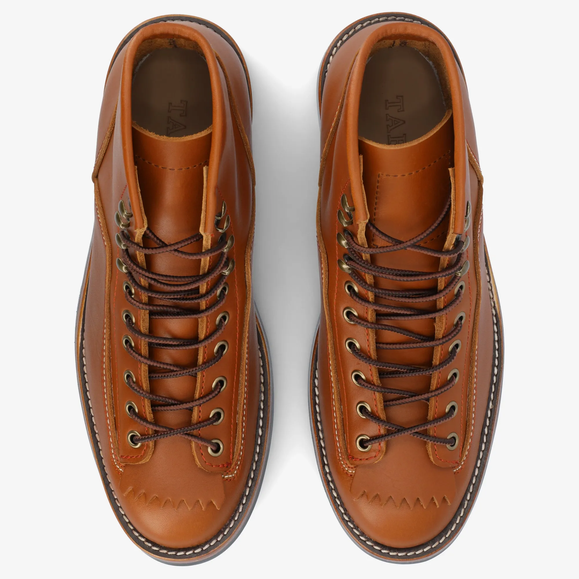 Discount TAFT Model 007 Boot In Honey